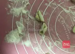 Illustration of hand-rolled castanopsis 6