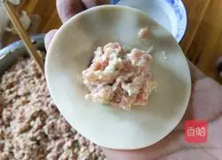 Illustration of how to make dumplings with four fresh fillings 5