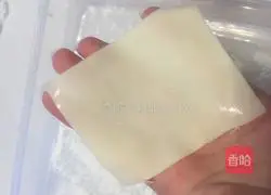 Illustration of how to make wontons 13