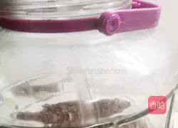 Illustration of how to make grape vinegar 6