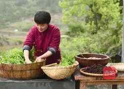 Eat local vegetables and boiled eggs on March 3rd.Illustration of Chinese traditional customs that cannot be forgotten 3