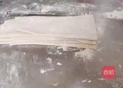 Illustration of hand-rolled noodles 5