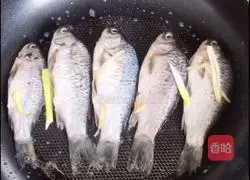 Wild crucian carp tofu soup recipe 4