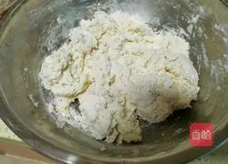 Illustration of how to make fresh meat prawn dumplings 2