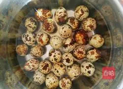 Illustration of how to make spiced quail eggs 4