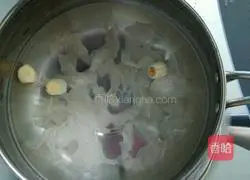 Papaya, Tremella and Lotus Seed Soup Recipe Illustration 3