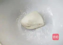 Illustration of how to make green onion cake 1