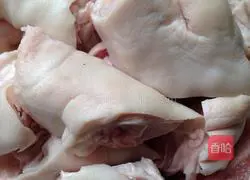 Illustration of Braised Pork Knuckles 1