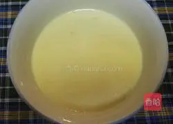 Mango Pudding Recipe Illustration 3