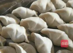 Qinglian Vegetarian Dumplings ( Illustration of how to make it (can be fried) 5
