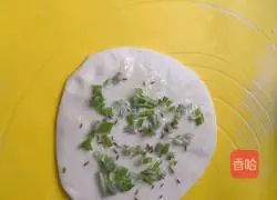 Cumin and scallion pancake recipe 2