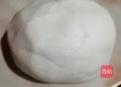 Illustration of how to make scallion pancakes 2