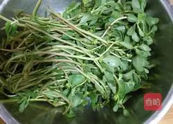 Illustration of how to make purslane flatbread buns (baked bun version) 1