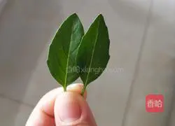 Mango yogurt recipe 2