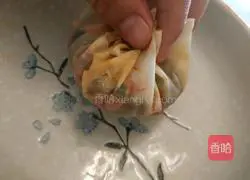 Illustration of how to make dumpling wrapper spring rolls 8