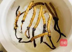 Low-key luxury and connotation Cordyceps stew Illustration of how to make bird's nest 2