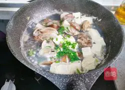 Clam tofu soup recipe 10