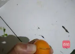 Kumquats Illustration of making sugar water 2