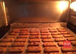 Cranberry Cookie Recipe Illustration 6