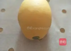 Lemon Packet Recipe Illustration 10