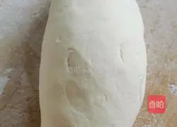 Illustration of making dumplings stuffed with beef and green onions 3