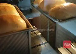 Illustration of how to make Chinese whole wheat toast 8