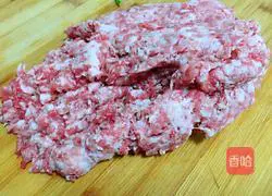 Pork and Garlic Dumplings Recipe Illustration 2