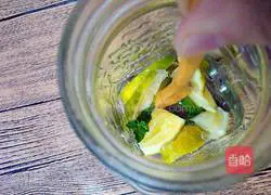 Watermelon Lemon Sparkling Drink Recipe Illustration 7