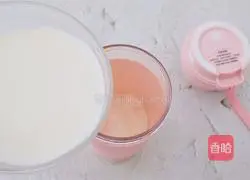 Mango Pudding Recipe Illustration 7