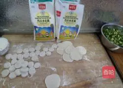 Illustration of making snowflake wheat flour vegetarian dumplings 8