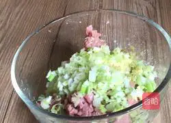 Illustration of how to make carrot and beef pot stickers 8