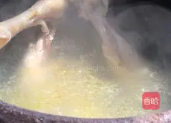 Gardenia Zihua chicken soup recipe 3