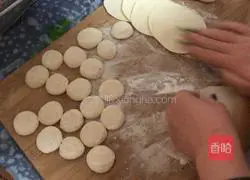 Shepherd's Purse Dumplings? Recipe 5