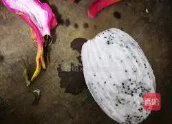 Illustration of how to make dragon fruit milkshake 3