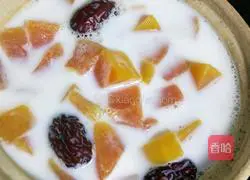 Illustration of papaya stewed in milk 8