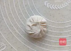 Illustration of how to make pork and green onion dumplings 12