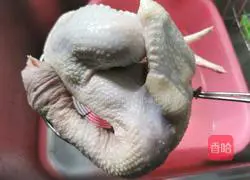 Illustration of how to make Cordyceps Flower Stewed Chicken Soup 1