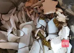 Illustration of how to make Tiger Lactobacillus, Dendrobium and Sea Coconut Pork Ribs Soup 1