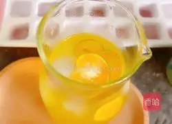 Lemon Juice Recipe Illustration 4