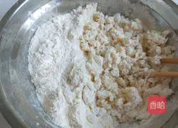 Illustration of how to make steamed dumplings with vegetables and shrimps and flowers in all seasons 4