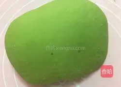 Illustration of handmade spinach and beef noodles 5