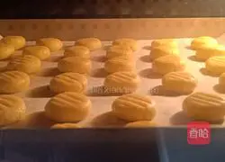 Egg yolk biscuits recipe 17