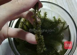 Cream Sea Grape Illustration of how to do it 3