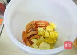 Pineapple Papaya Enzyme Recipe Illustration 3