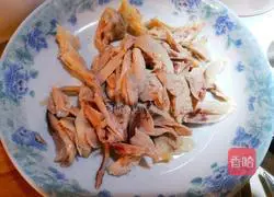 Illustration of shredded chicken legs 4