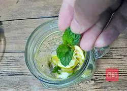 Watermelon Lemon Sparkling Drink Recipe Illustration 6