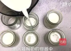 Tang Zhentang~Illustration of how to make homemade old yogurt 5