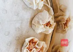 Illustration of how to make pure meat Shaomai 3