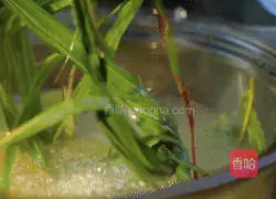 Tom Yum Fish Soup Practice illustration 4