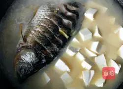 Illustration of how to make crucian carp tofu soup 11